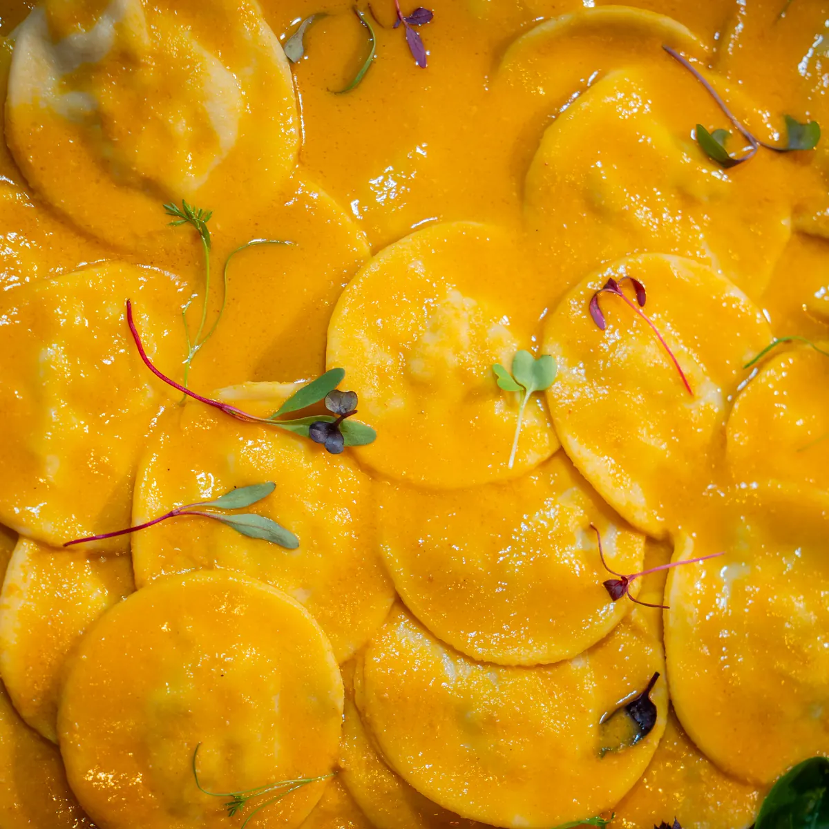 Ravioli de camarão